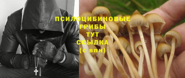 прущие грибы Струнино