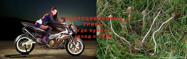 МДМА Зеленокумск